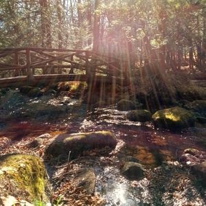 Meet your Posher, Rochelle